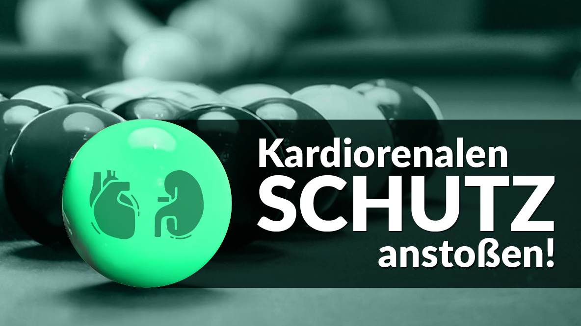 Kardiorenalen Schutz anstoßen!