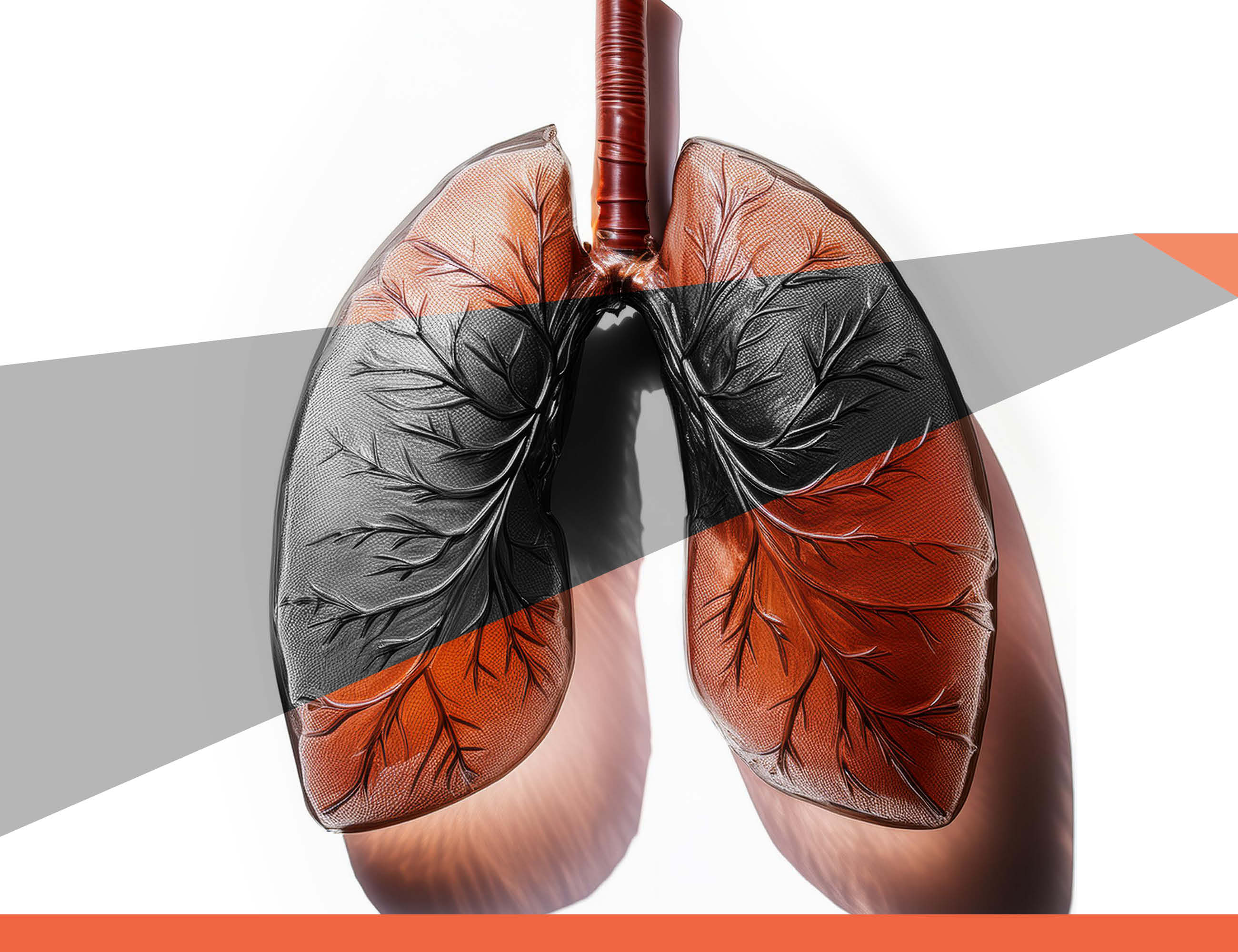 Lunge mit dunklem Schatten