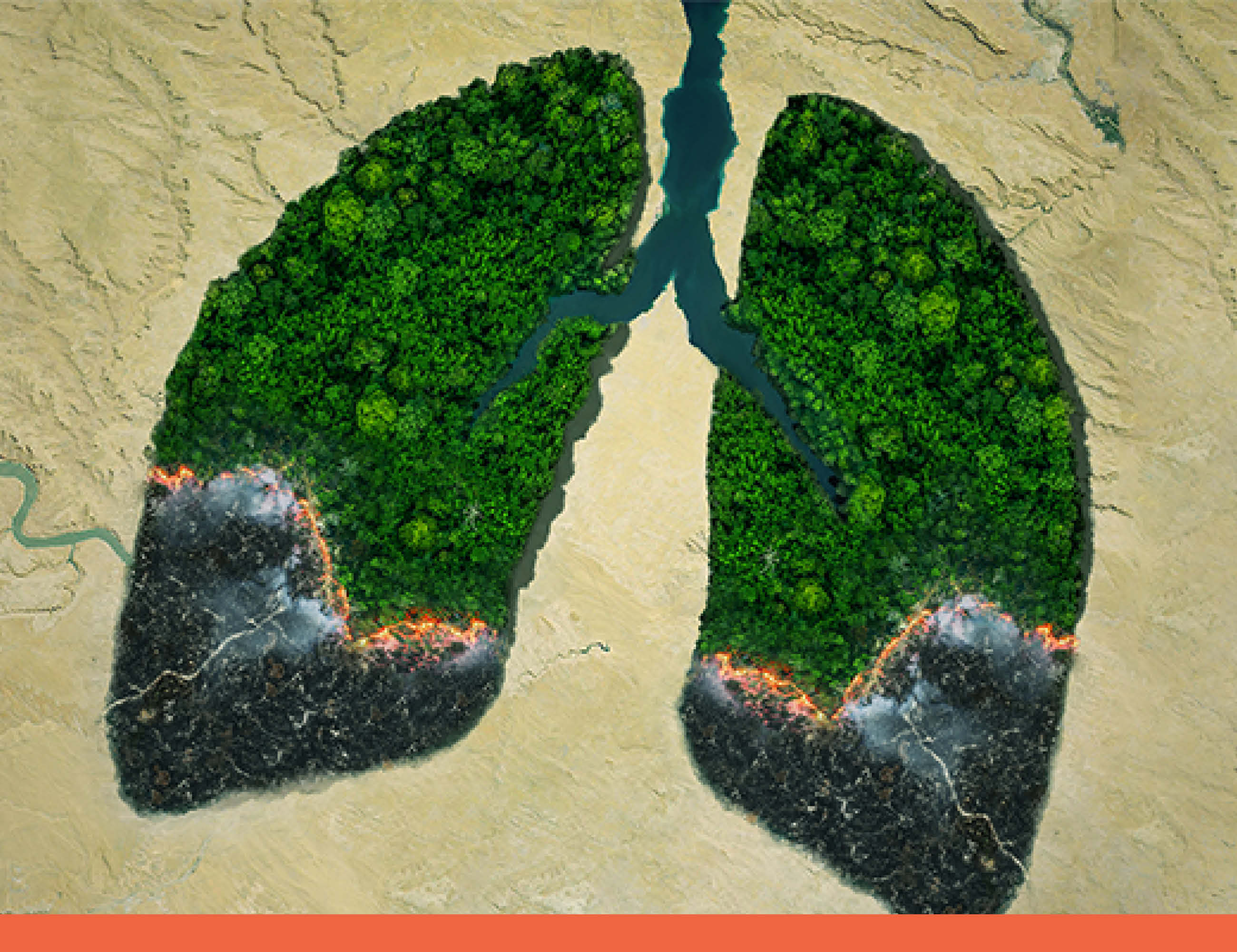 Waldbrand in Lungenform