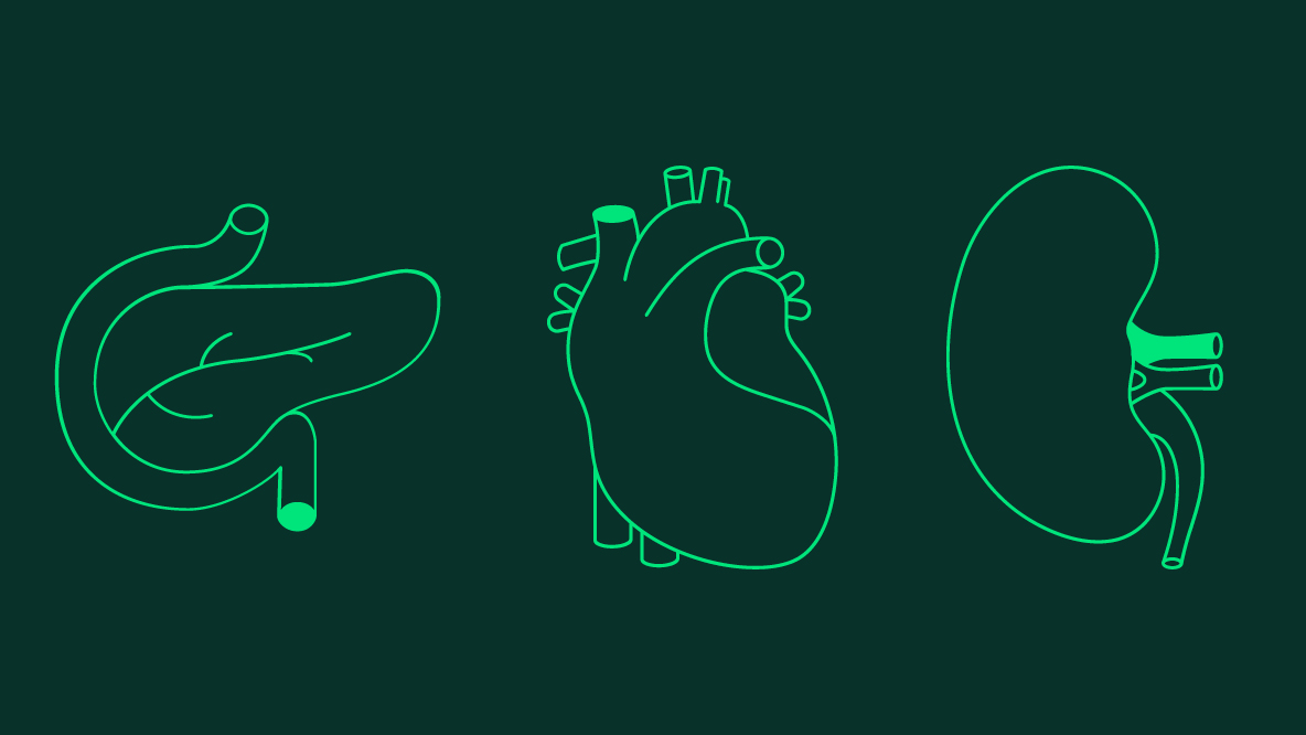 Icons: Organe Pankreas, Herz, Niere