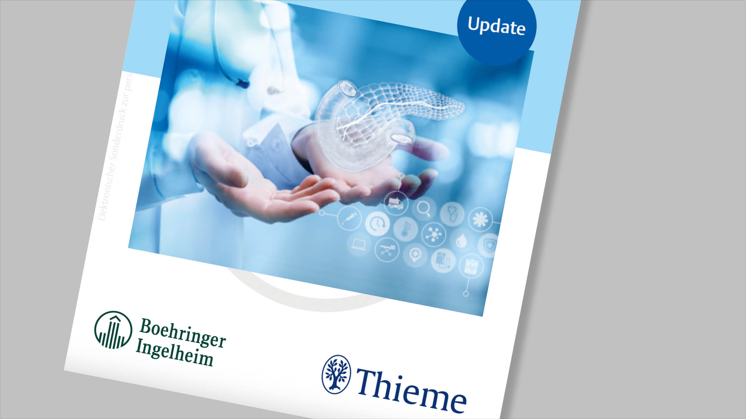 Vorschau: Sonderpublikation „Fakten kompakt“ 