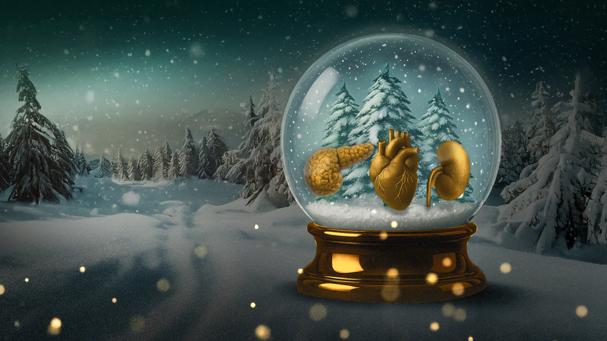 Jahresendgrüße 2025