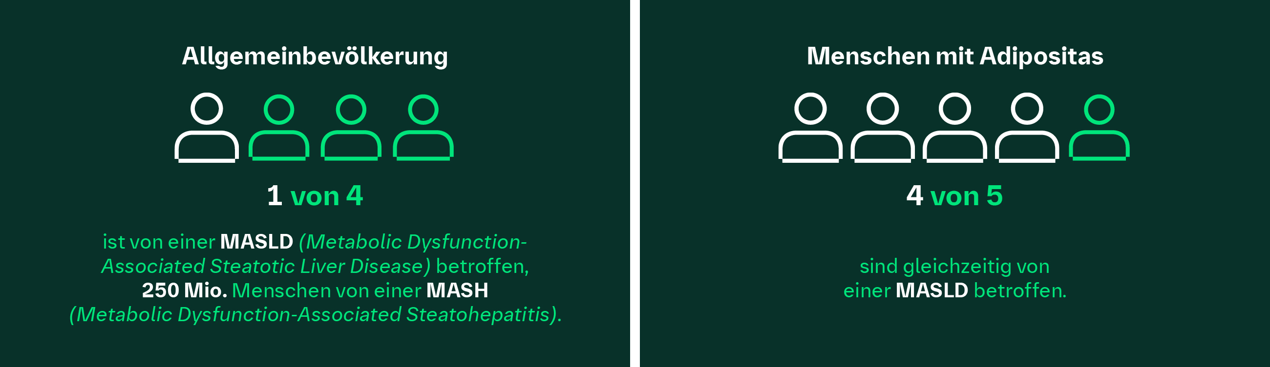 Prävalenz MASLD in Allgemeinbevölkerung vs. Menschen mit Adipositas