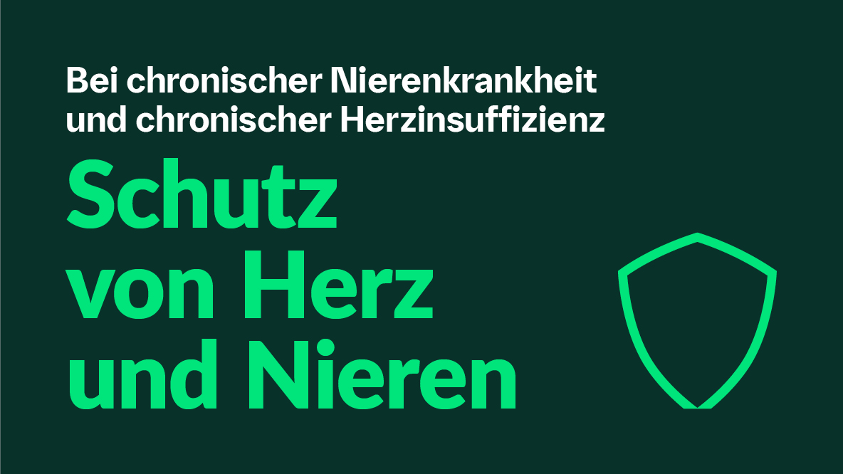 Bei chronischer Nierenkrankheit und chronischer Herzinsuffizienz: Schutz von Herz und Nieren