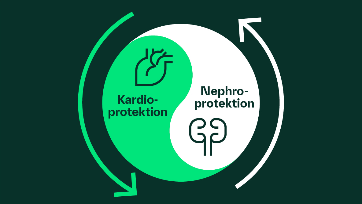 Kardioprotektion & Nephroprotektion