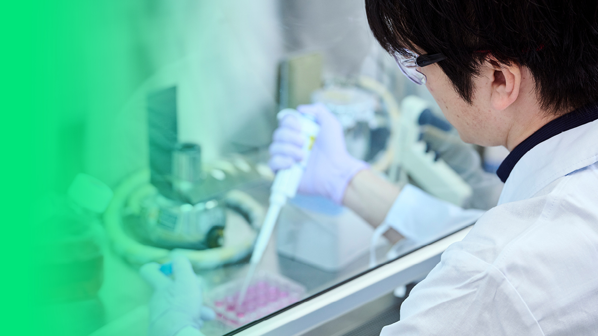 Forscher bei der Arbeit im Labor