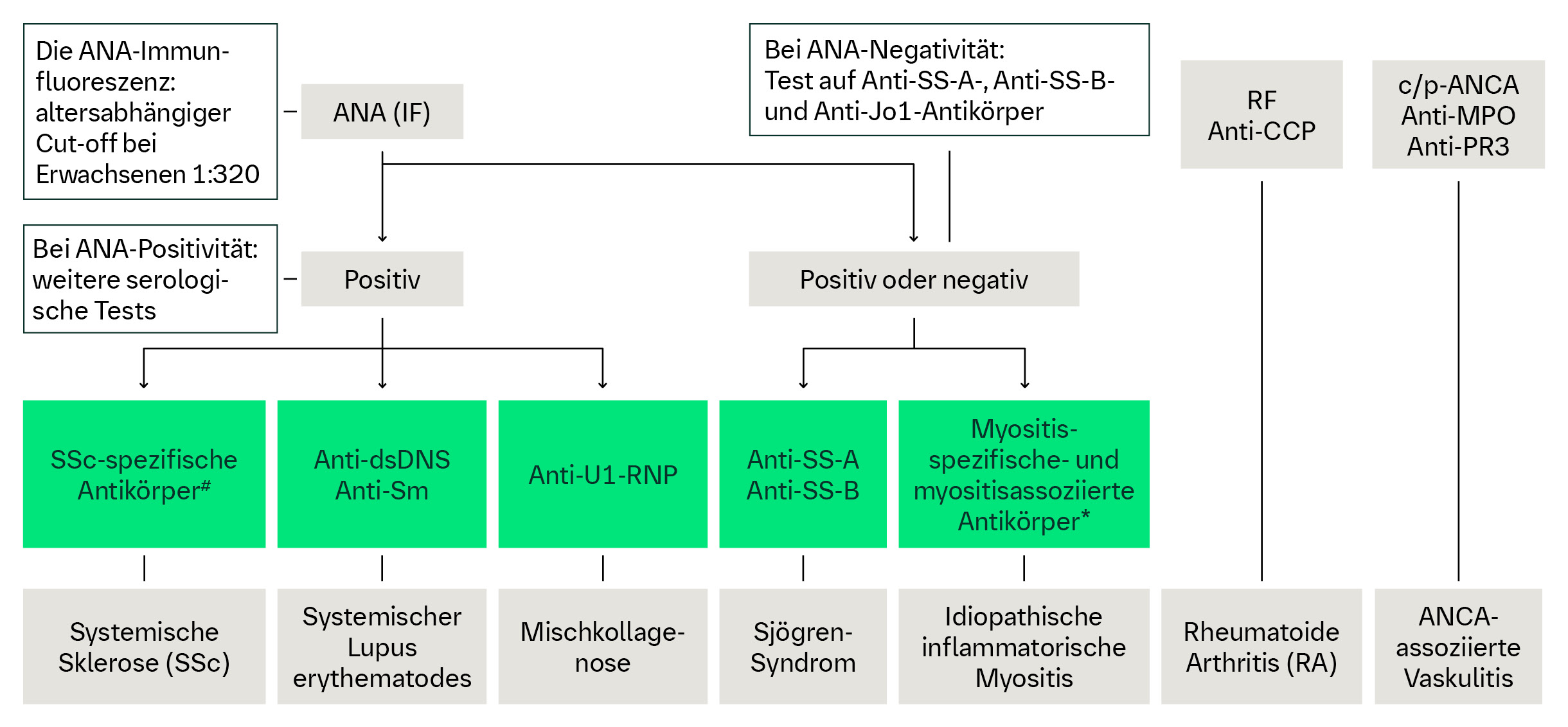 Autoantikörper zur ILD-Diagnostik