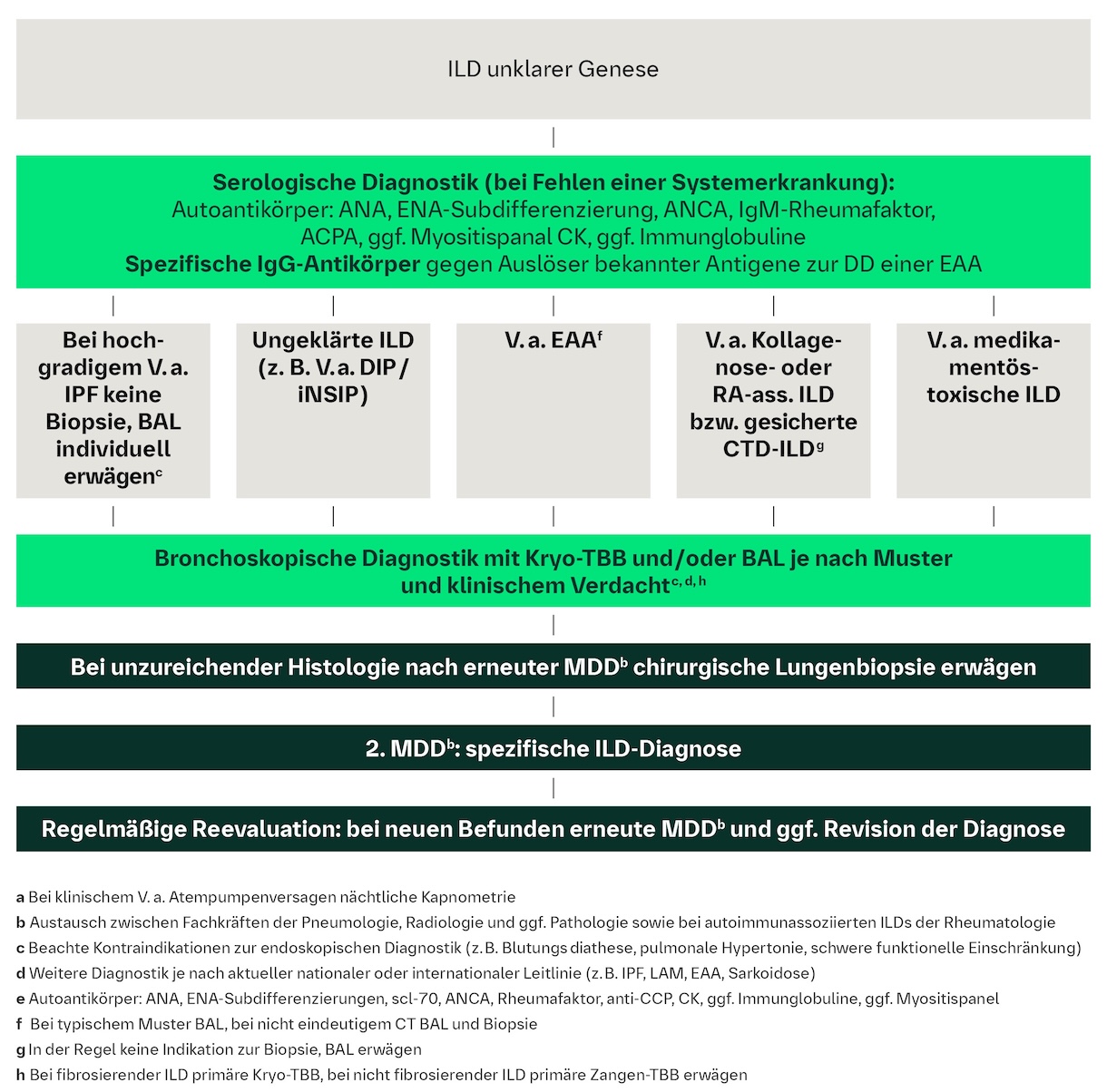 Diagnostik-Algorithmus bei ILD unklarer Genese nach 1. MDD
