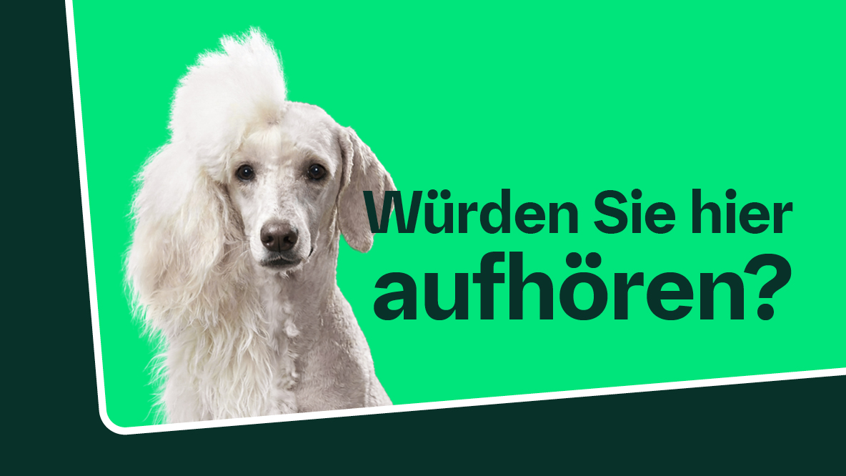Bild eines halb geschorenen Pudels. Frage: Würden Sie hier aufhören?