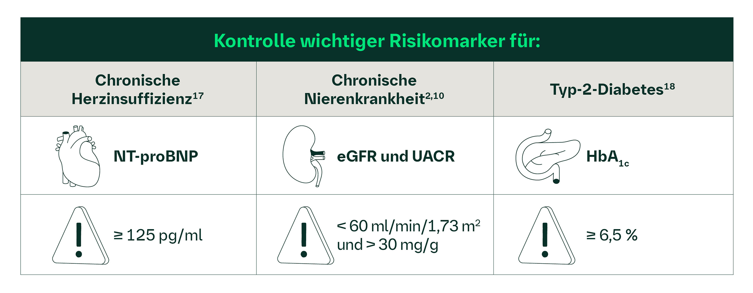 Kontrolle wichtiger Risikomarker für chronische Herzinsuffizienz (NT-proBNP ≥ 125 pg/ml), chronische Nierenkrankheit (eGFR < 60  ml/min/1,73 m2) und Typ-2-Diabetes (HbA1c ≥ 6,5 %)